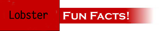 Fun Facts!